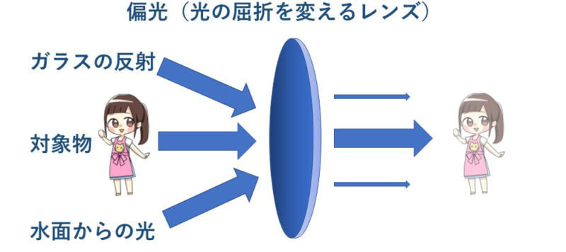 偏光レンズとは