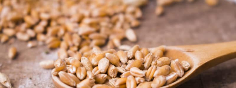小麦のふすまを含んだ胚芽麺はインスタ映えする