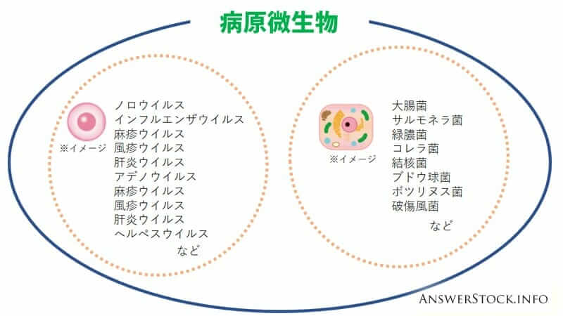 菌とウィルスの違いは細胞を持っているか持っていないかの違い